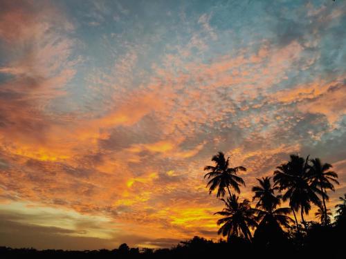 a sunset with two palm trees in the foreground at Relax Beach House in Tangalle