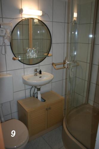 a bathroom with a sink and a mirror and a shower at Hotel "Alte Schule" Trogen in Trogen