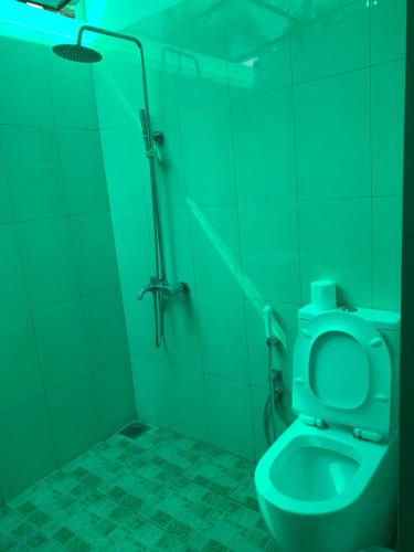 baño verde con aseo y ducha en Neli guests house, en Unawatuna