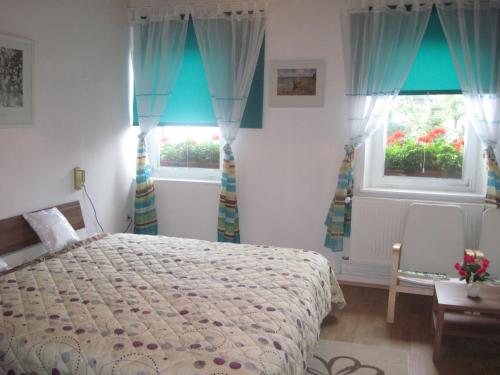 a bedroom with a bed and two windows at Hotel "Alte Schule" Trogen in Trogen