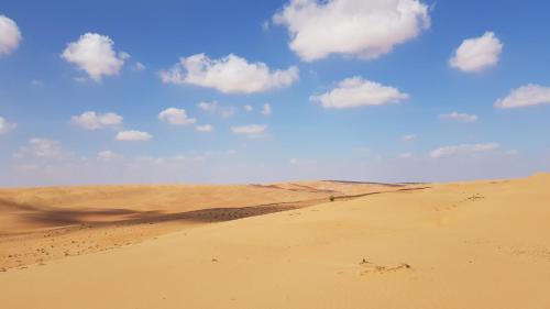 a person standing in the middle of a desert at Private Bedouin Tent -ODPC in Shāhiq