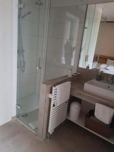 a bathroom with a shower and a sink and a mirror at Nagelschmiede in Münsingen