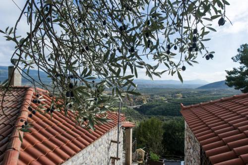 a view from the roof of a house at Petra Thea Villa Karitaina in Karítaina