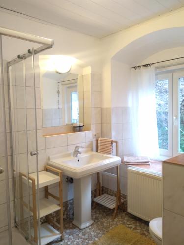 a bathroom with a sink and a shower at Appartement Harrer in Zell am See