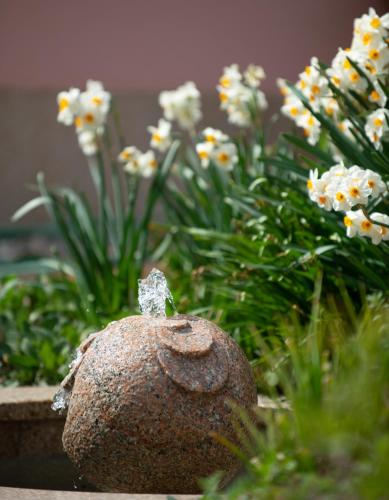 a rock with a engagement ring on it in front of flowers at B&B Villa Angelina in Rogaška Slatina
