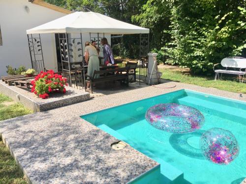 una piscina con 2 esferas de cristal en un patio en Casa Bella & Nova en Palić