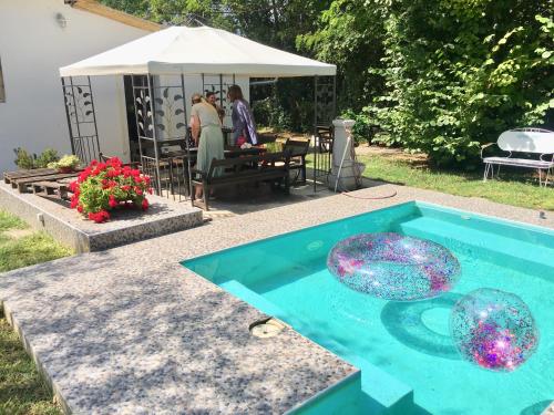 a swimming pool with two glass spheres in a yard at Casa Bella & Nova in Palić