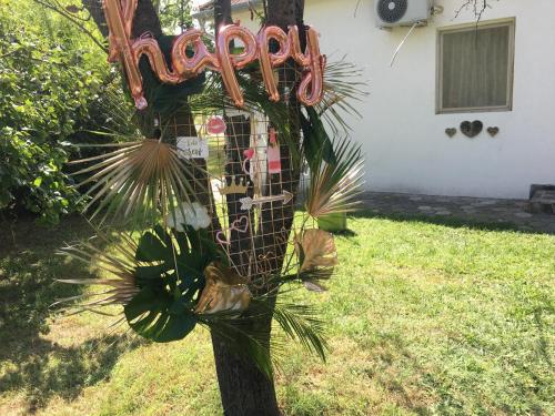 a palm tree with a sign that reads mardi gras at Dve kuce pored jezera in Palić