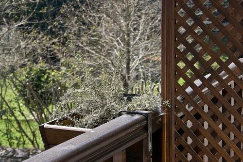 a potted plant sitting on a wooden balcony at Posada Ruilobuca in Ruiloba