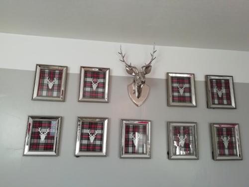 a group of framed pictures on a wall with a deer head at Argyle Guest House in Tomintoul