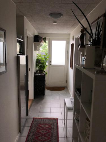 a hallway with a door with a plant and a rug at Molino in Bønnerup Strand