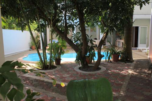 a courtyard with trees and a swimming pool at LeBovallon B&B in Mahébourg