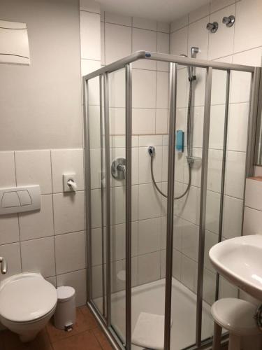 a bathroom with a shower with a toilet and a sink at Bodenseehotel Renn in Hagnau