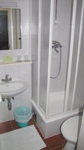 a bathroom with a shower and a sink at Terme Olimia - Apartment Village Lipa in Podčetrtek