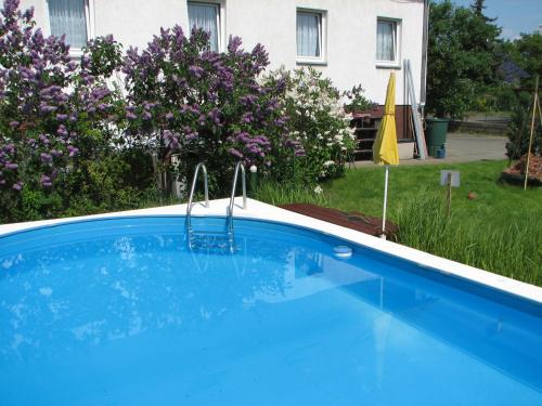 Swimming pool sa o malapit sa Hotel-Pension Lydia
