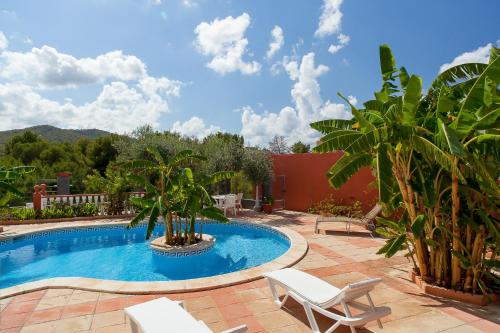a swimming pool with two chairs and palm trees at Can Ramos in Ses Fontanelles