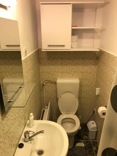 een badkamer met een toilet en een wastafel bij Orion Apartments (family) in Lunca de Sus
