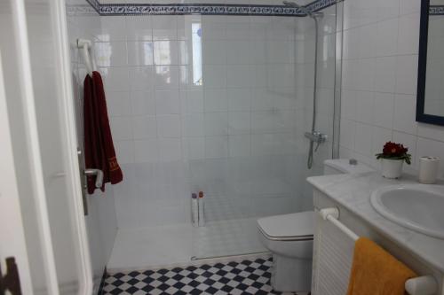 185 Alberca - Deniasol