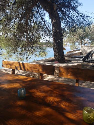 a wooden bench sitting under a tree next to a lake at Adriatic Queen in Gdinj