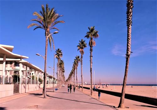 Marin Beach Apartments Patacona