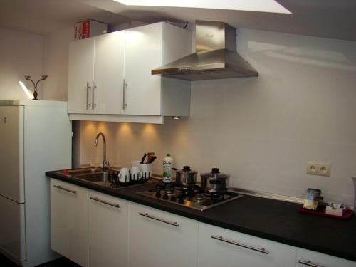a kitchen with a sink and a stove and a refrigerator at Pentagos Centrum in Poznań