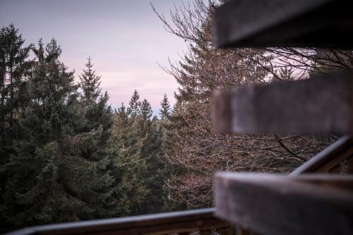 a view of some trees from a window at Ramenai - Das Böhmerwaldlerdorf in Ulrichsberg
