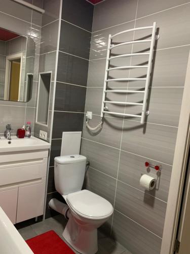 A bathroom at Apartments on Priportovaya,35