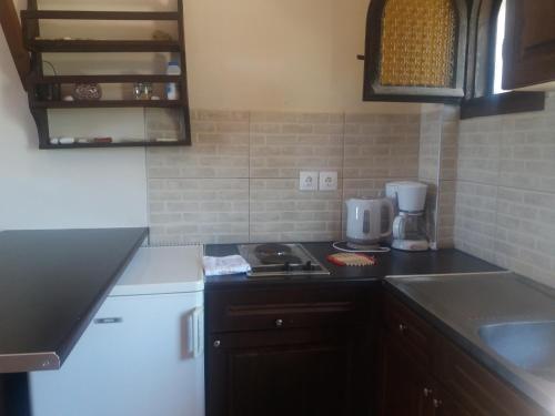 Kuchyň nebo kuchyňský kout v ubytování Dionisis Apartments