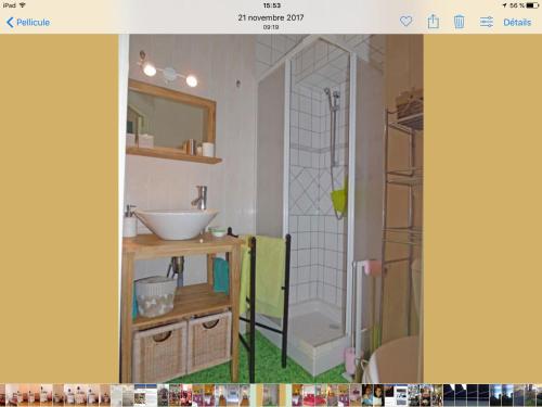 uma casa de banho com um lavatório e um chuveiro em La Demeure aux Hortensias em Pleurtuit