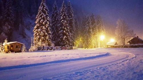 a snow covered road with a group of trees at night at Pension Haus Rohrmoser in Annaberg im Lammertal