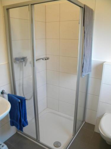 a shower with a glass door in a bathroom at Business Apartment/Ferienwohnung (z. CGN/FFM) in Ellenhausen