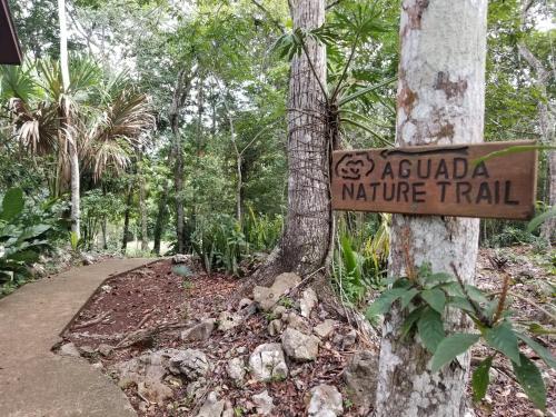 a sign on a tree with a trail at Mariposa Jungle Lodge in San Ignacio