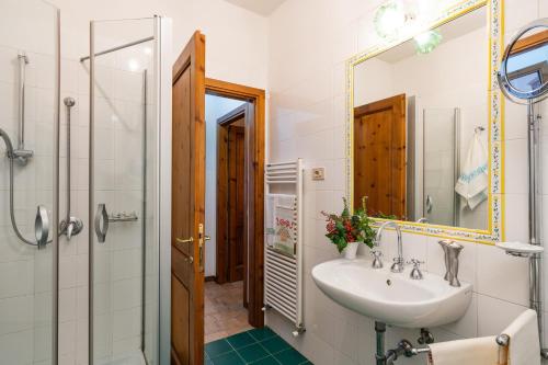 a bathroom with a sink and a shower and a mirror at Podere Oliveta in Poggibonsi