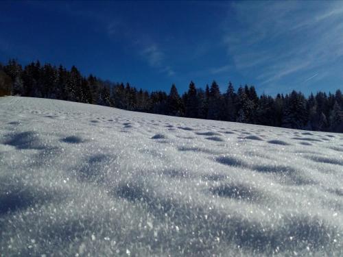 a snow covered hill with trees in the background at Na Losenici in Nicov