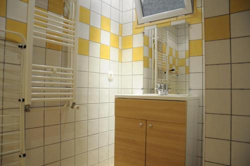 ein Bad mit einem Waschbecken und einem Spiegel in der Unterkunft Cellier n3 in Les Deux Alpes
