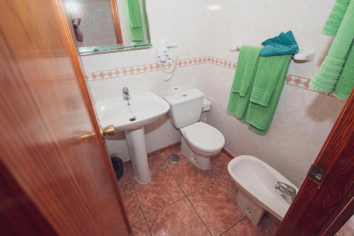 a bathroom with a toilet and a sink and green towels at Montecarlo Apartamento30 in Puerto Rico de Gran Canaria