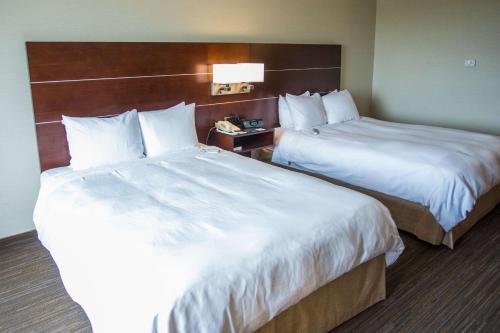 Ein Bett oder Betten in einem Zimmer der Unterkunft Wyndham Moline on John Deere Commons