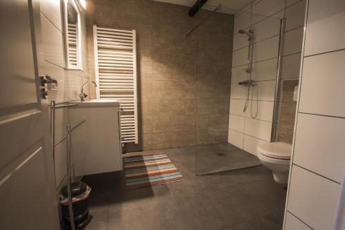 uma casa de banho com um chuveiro e um WC. em Klein Cambron em Hulst