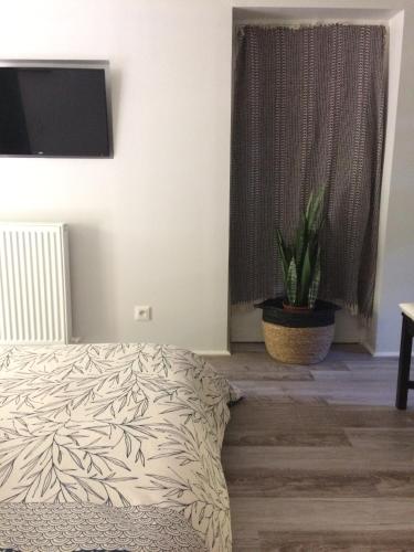 a bedroom with a bed and a potted plant at Le jardin de félicie in Trévoux