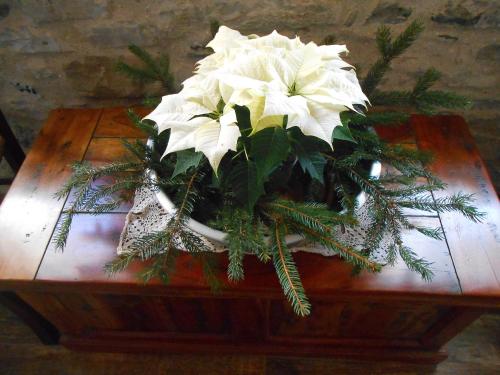 a bouquet of white flowers on a table at Agriturismo La Casa Nei Boschi in Colderù
