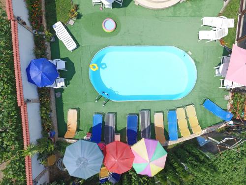 Vista sulla piscina di Guest House Camellia o su una piscina nei dintorni