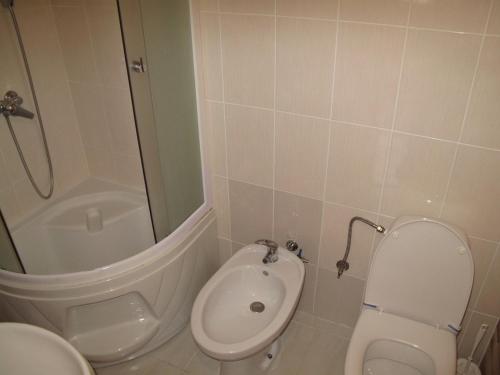 a bathroom with a toilet and a sink and a shower at Полонянка in Bukovinka
