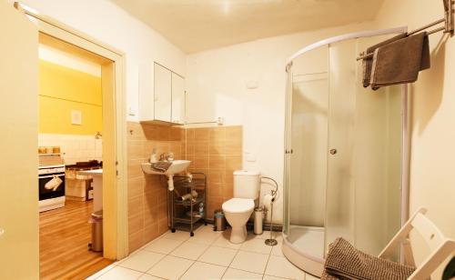 ein Bad mit einer Dusche, einem WC und einem Waschbecken in der Unterkunft Apartmán pod rozhlednou in Roudnice nad Labem
