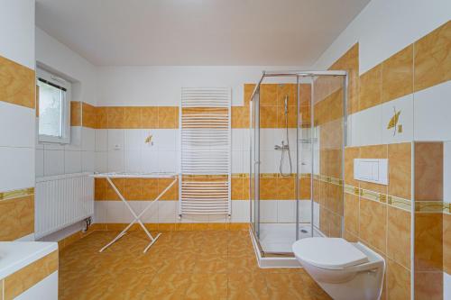 a bathroom with a shower and a toilet at Ubytování u Janečků in Černý Dŭl