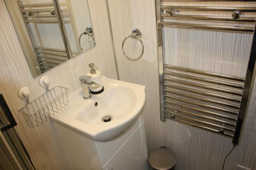 a bathroom with a white sink and a mirror at Loch Ness Balcony Apartment in Drumnadrochit