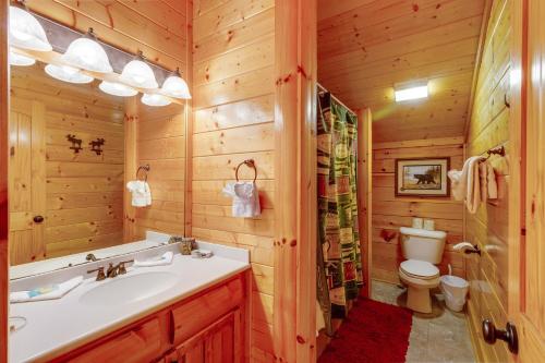 a bathroom with a sink and a toilet at Tennessee Treasure in Pigeon Forge