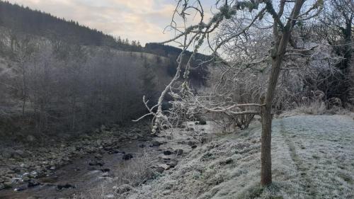 a river with snow on the ground next to a tree at Loch Ness Balcony Apartment in Drumnadrochit