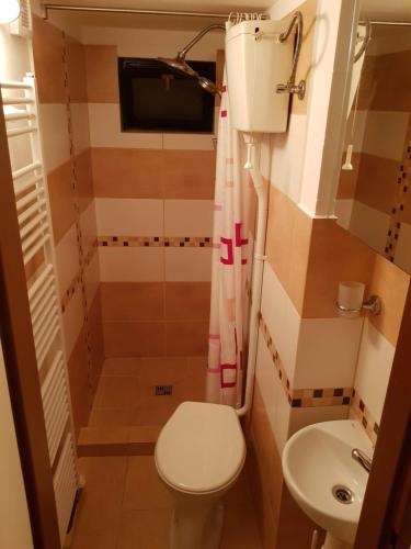 Koupelna v ubytování Apartmán Astomo