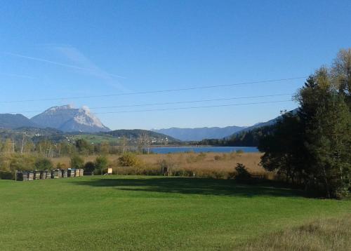 a field with a lake and a mountain in the background at Ferienwohnung Millonigg in Vorderberg