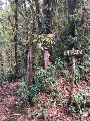 Gallery image of Cabaña de montaña La Magnolia, Cerro de la Muerte De La Cañuela Cloud Forest in Tres de Junio